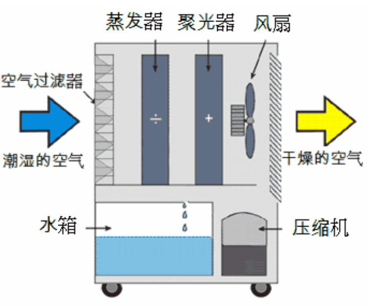 转轮杏仁直播app最新版下载启动不正常的原因