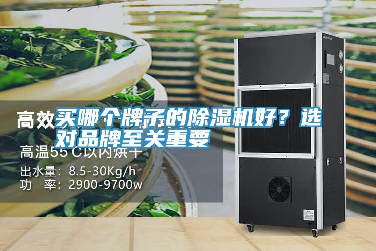 买哪个牌子的杏仁直播app最新版下载好？选对品牌至关重要