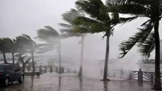 8月台风雨即将来，杏仁直播app最新版下载还得用起来