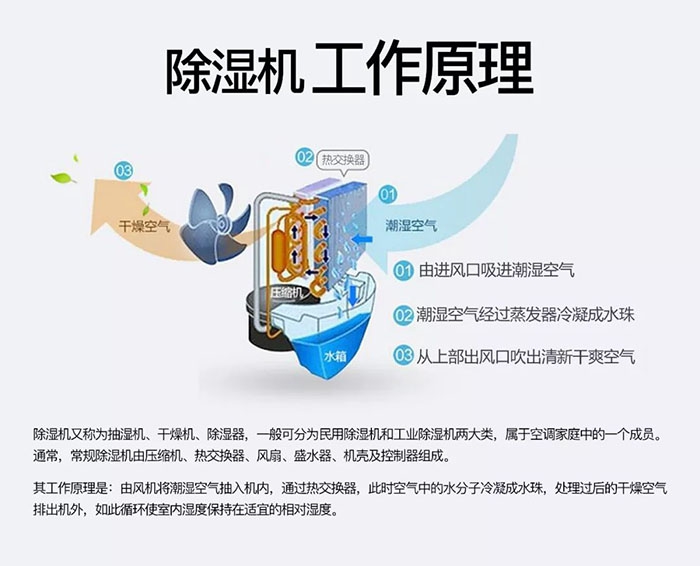 使用转轮杏仁直播app最新版下载应该注意的问题