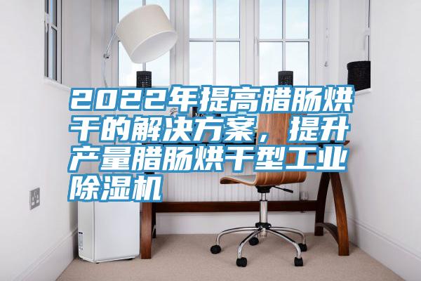 2022年提高腊肠烘干的解决方案，提升产量腊肠烘干型工业杏仁直播app最新版下载