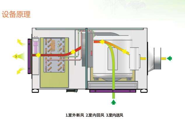 新风杏仁直播app最新版下载