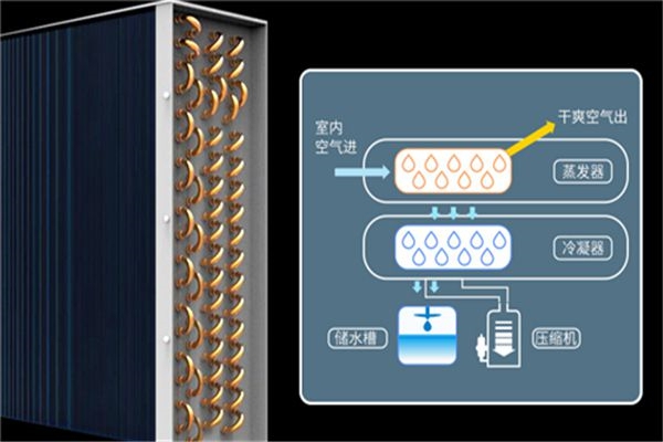 工业杏仁直播app最新版下载要怎么维护才能延长使用寿命