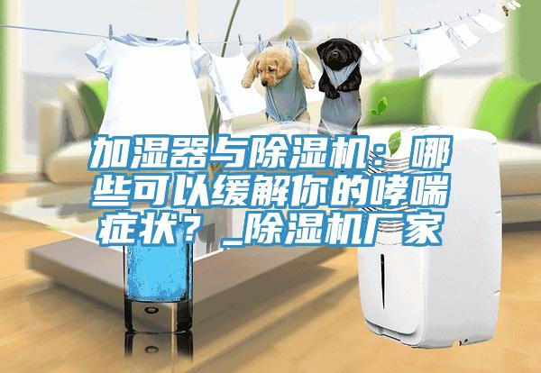 加湿器与杏仁直播app最新版下载：哪些可以缓解你的哮喘症状？_杏仁直播app最新版下载厂家