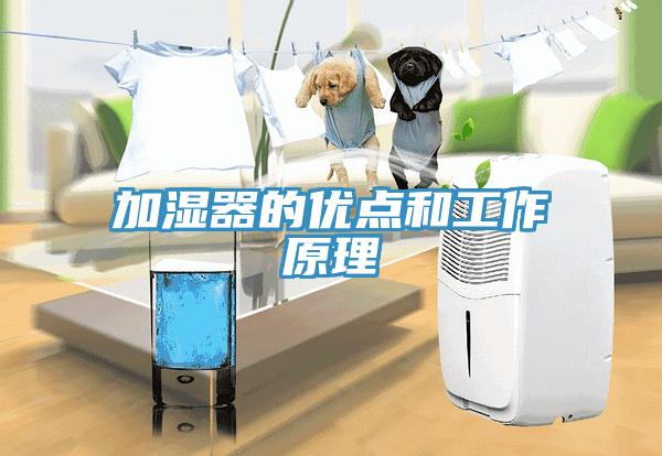 加湿器的优点和工作原理