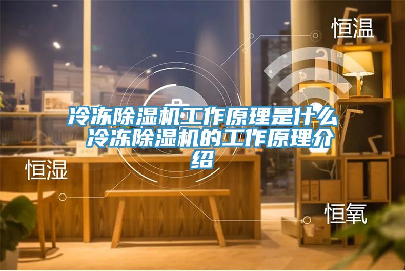 冷冻杏仁直播app最新版下载工作原理是什么 冷冻杏仁直播app最新版下载的工作原理介绍