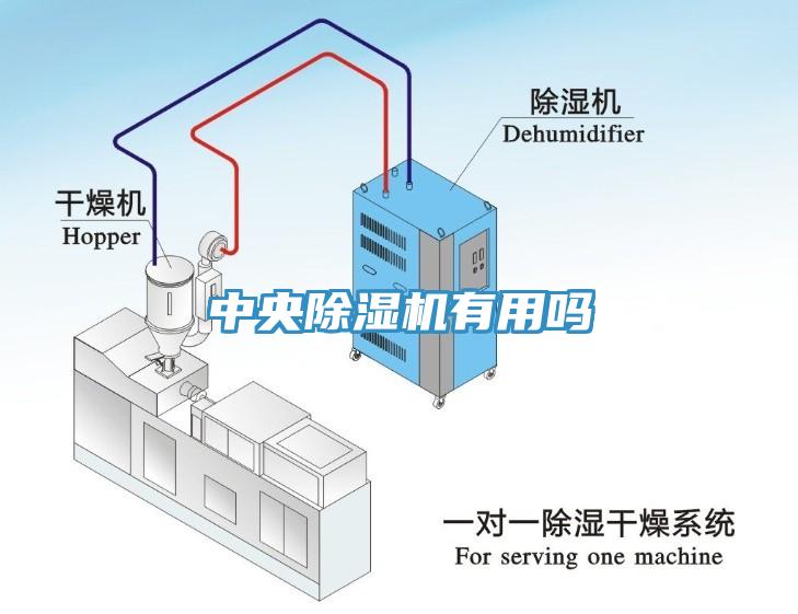 中央杏仁直播app最新版下载有用吗