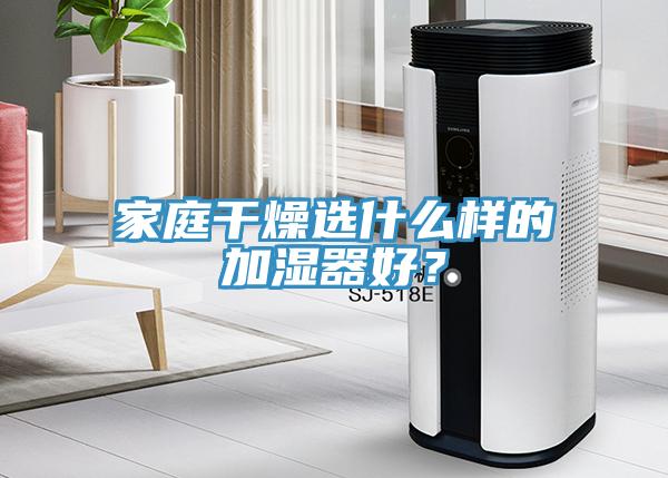 家庭干燥选什么样的加湿器好？