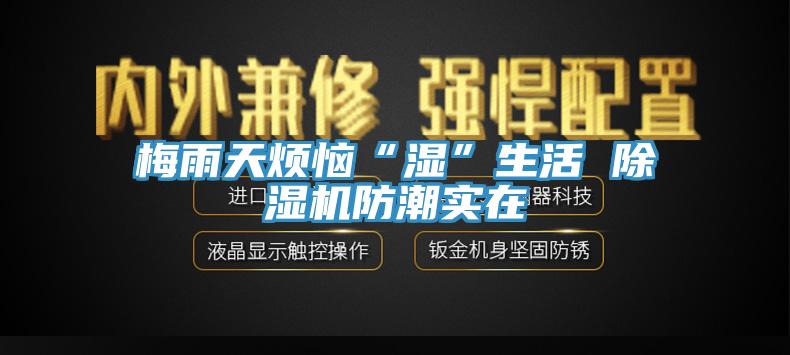 梅雨天烦恼“湿”生活 杏仁直播app最新版下载防潮实在