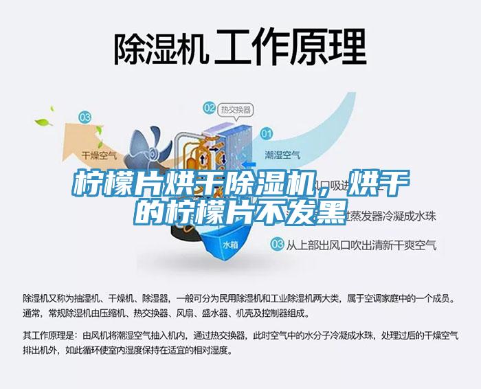 柠檬片烘干杏仁直播app最新版下载，烘干的柠檬片不发黑