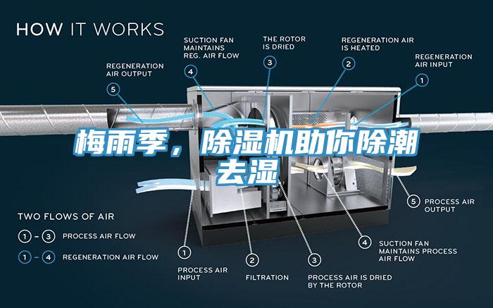 梅雨季，杏仁直播app最新版下载助你除潮去湿