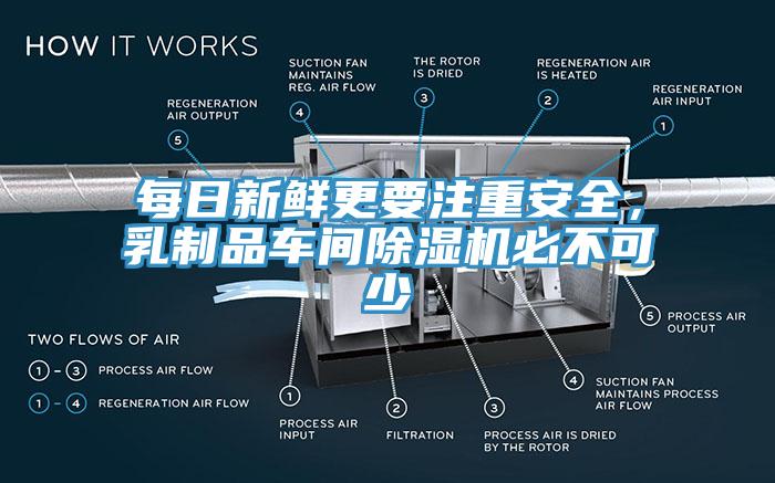 每日新鲜更要注重安全，乳制品车间杏仁直播app最新版下载必不可少