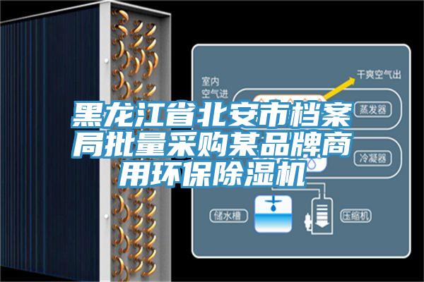 黑龙江省北安市档案局批量采购某品牌商用环保杏仁直播app最新版下载