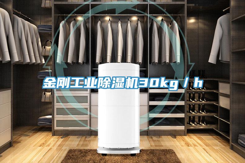 金刚工业杏仁直播app最新版下载30kg／h