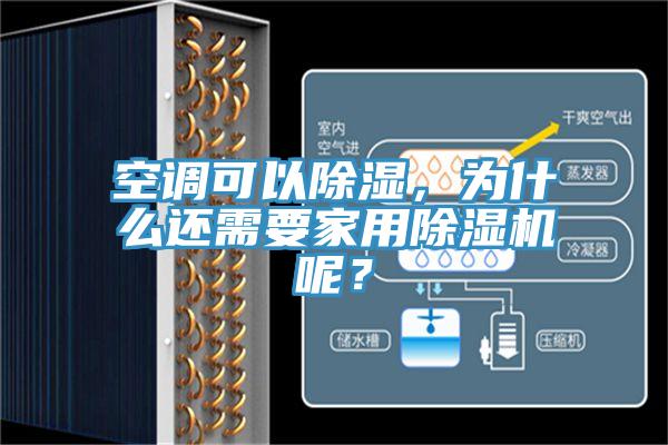 空调可以除湿，为什么还需要家用杏仁直播app最新版下载呢？