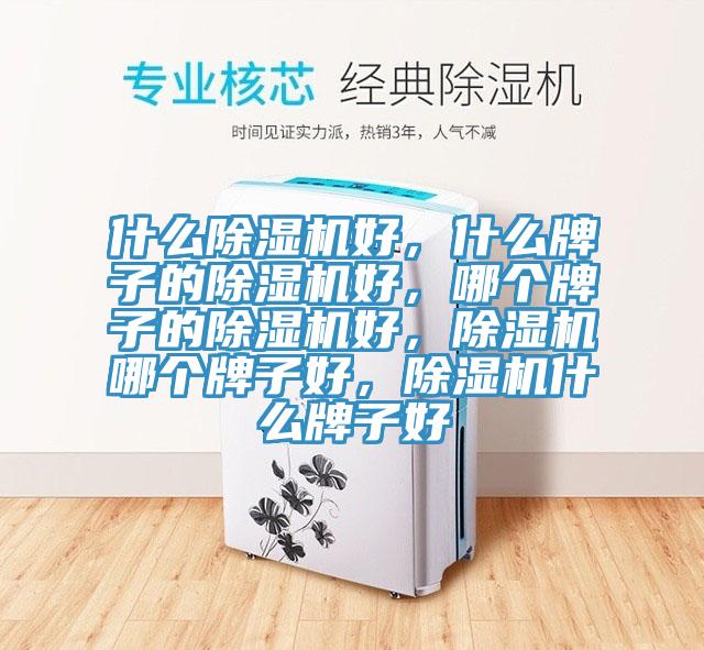 什么杏仁直播app最新版下载好，什么牌子的杏仁直播app最新版下载好，哪个牌子的杏仁直播app最新版下载好，杏仁直播app最新版下载哪个牌子好，杏仁直播app最新版下载什么牌子好