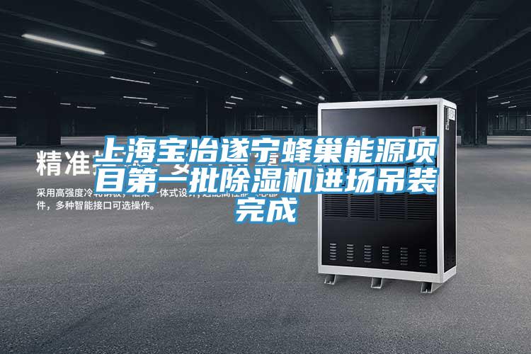 上海宝冶遂宁蜂巢能源项目第一批杏仁直播app最新版下载进场吊装完成