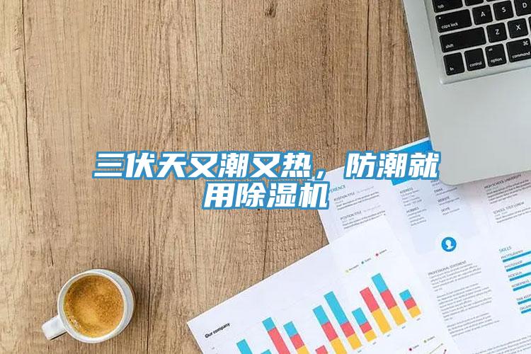 三伏天又潮又热，防潮就用杏仁直播app最新版下载