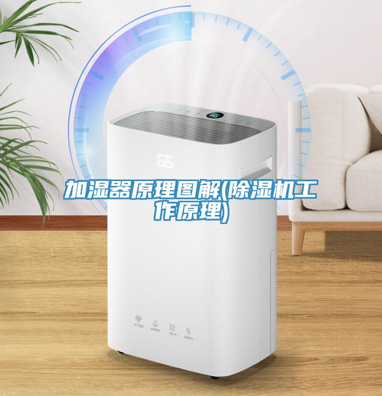 加湿器原理图解(杏仁直播app最新版下载工作原理)