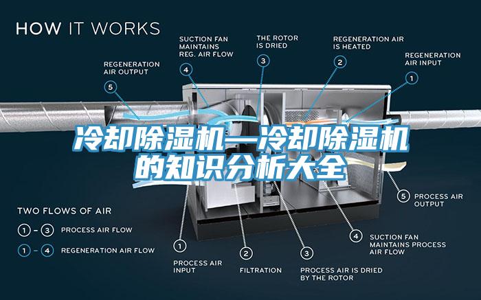 冷却杏仁直播app最新版下载—冷却杏仁直播app最新版下载的知识分析大全