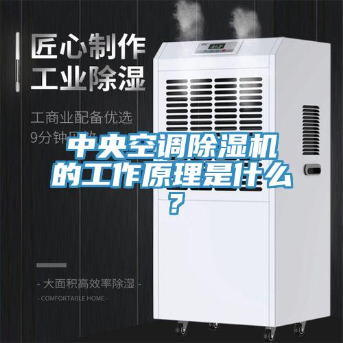 中央空调杏仁直播app最新版下载的工作原理是什么？