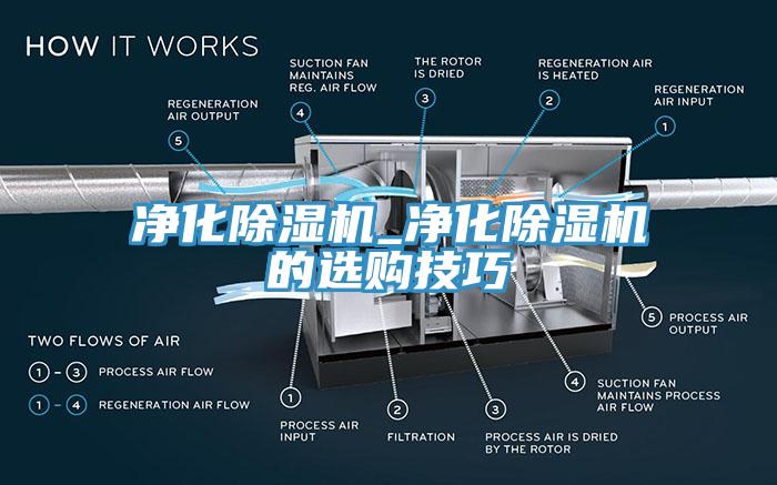 净化杏仁直播app最新版下载_净化杏仁直播app最新版下载的选购技巧