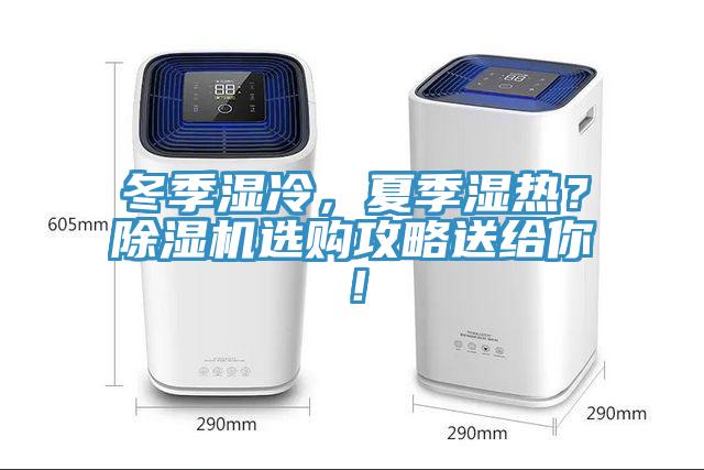 冬季湿冷，夏季湿热？杏仁直播app最新版下载选购攻略送给你！