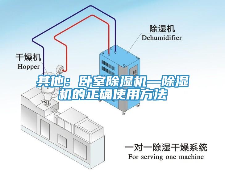 其他：卧室杏仁直播app最新版下载—杏仁直播app最新版下载的正确使用方法