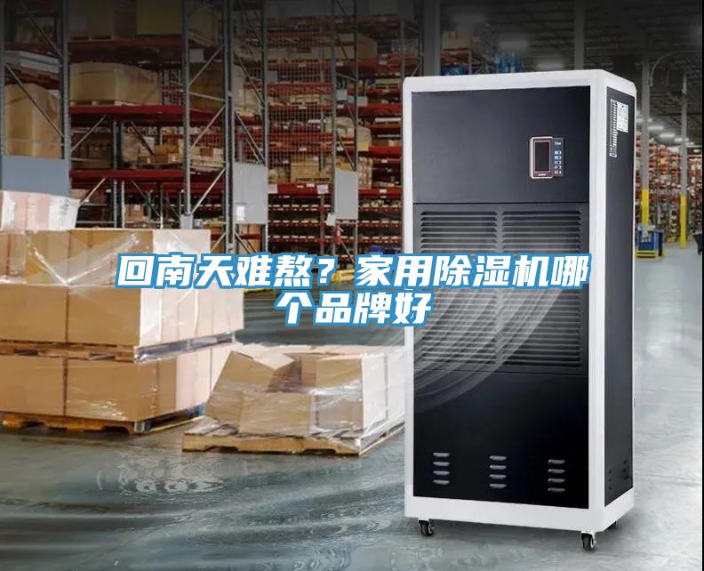 回南天难熬？家用杏仁直播app最新版下载哪个品牌好