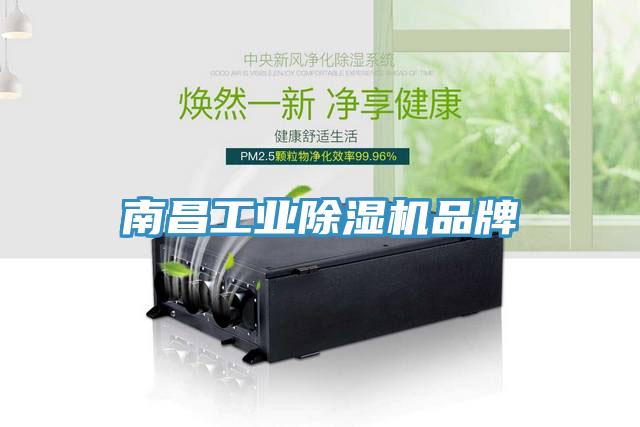 南昌工业杏仁直播app最新版下载品牌