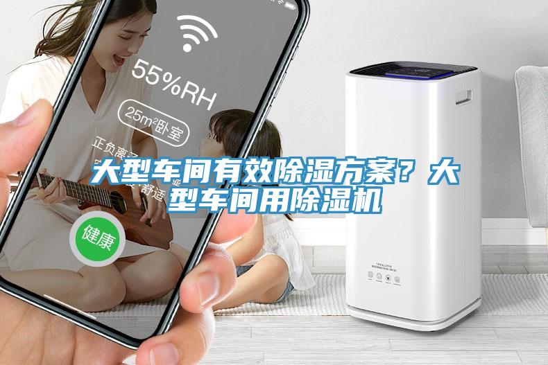 大型车间有效除湿方案？大型车间用杏仁直播app最新版下载