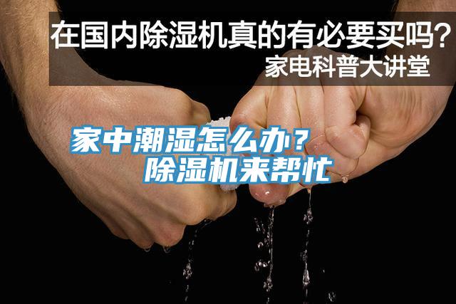 家中潮湿怎么办？    杏仁直播app最新版下载来帮忙