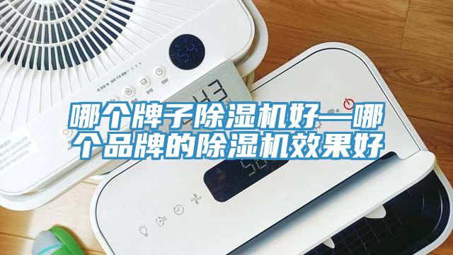 哪个牌子杏仁直播app最新版下载好—哪个品牌的杏仁直播app最新版下载效果好