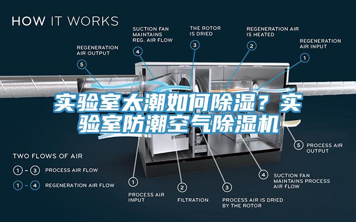 实验室太潮如何除湿？实验室防潮空气杏仁直播app最新版下载