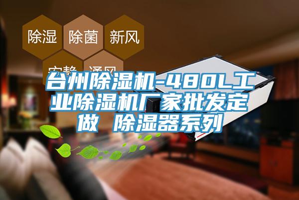 台州杏仁直播app最新版下载-480L工业杏仁直播app最新版下载厂家批发定做 除湿器系列