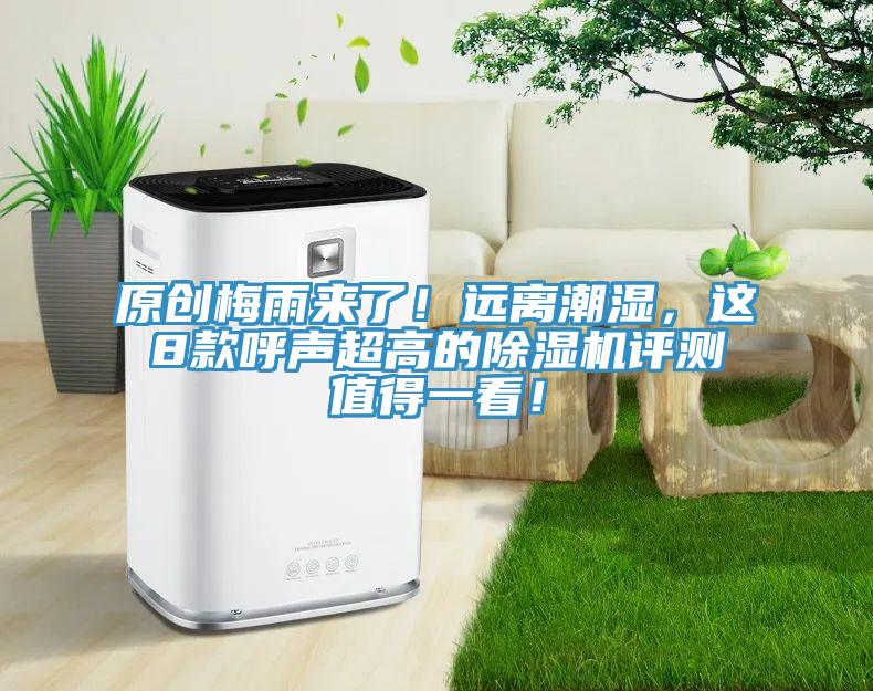 原创梅雨来了！远离潮湿，这8款呼声超高的杏仁直播app最新版下载评测值得一看！