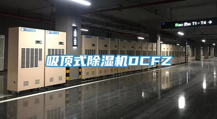 吸顶式杏仁直播app最新版下载DCFZ