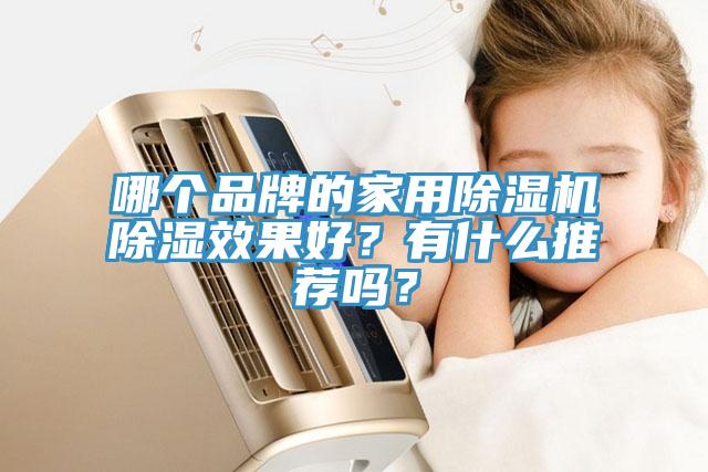 哪个品牌的家用杏仁直播app最新版下载除湿效果好？有什么推荐吗？