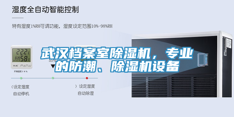 武汉档案室杏仁直播app最新版下载，专业的防潮、杏仁直播app最新版下载设备