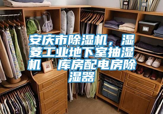 安庆市杏仁直播app最新版下载，湿菱工业地下室抽湿机  库房配电房除湿器