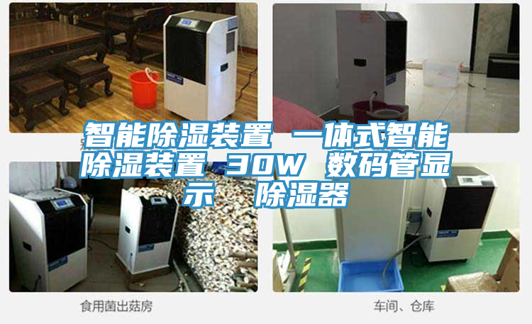 智能除湿装置 一体式智能除湿装置 30W 数码管显示  除湿器