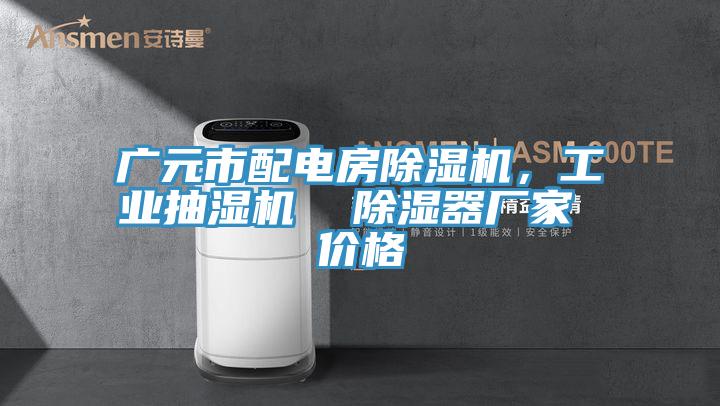 广元市配电房杏仁直播app最新版下载，工业抽湿机  除湿器厂家 价格