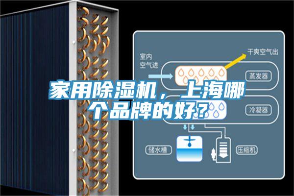 家用杏仁直播app最新版下载，上海哪个品牌的好？