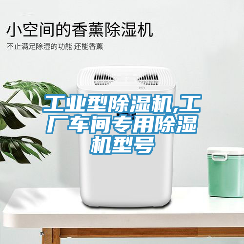 工业型杏仁直播app最新版下载,工厂车间专用杏仁直播app最新版下载型号