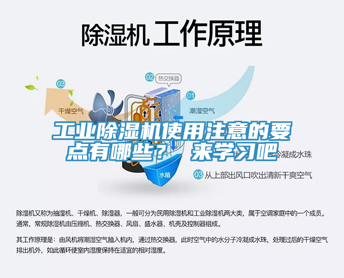 工业杏仁直播app最新版下载使用注意的要点有哪些？ 来学习吧