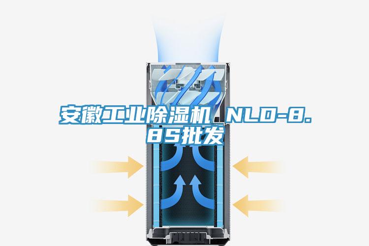 安徽工业杏仁直播app最新版下载 NLD-8.8S批发