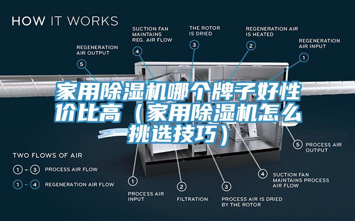 家用杏仁直播app最新版下载哪个牌子好性价比高（家用杏仁直播app最新版下载怎么挑选技巧）