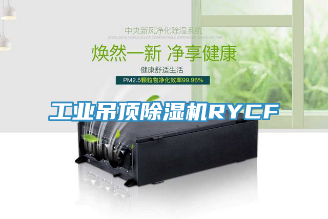 工业吊顶杏仁直播app最新版下载RYCF