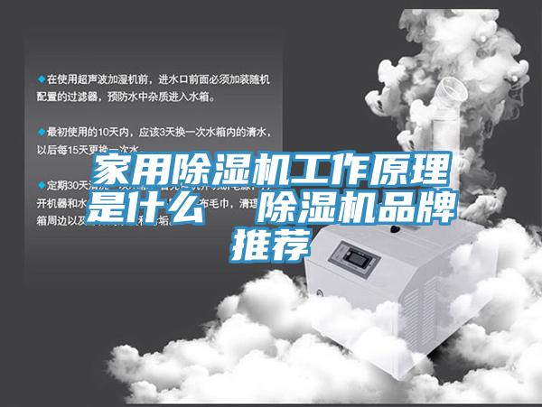 家用杏仁直播app最新版下载工作原理是什么  杏仁直播app最新版下载品牌推荐