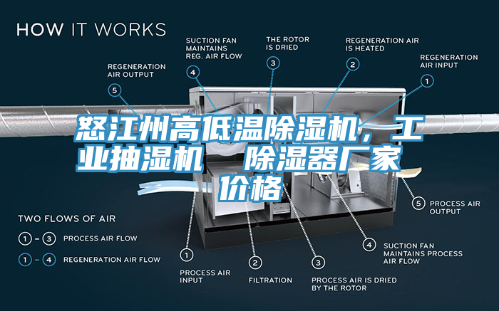 怒江州高低温杏仁直播app最新版下载，工业抽湿机  除湿器厂家 价格